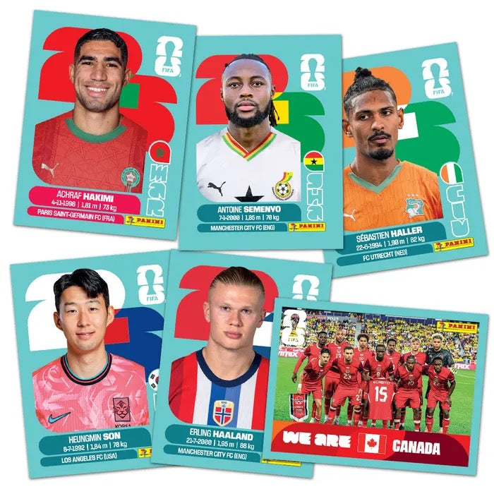 Panini Box mit 100 Tüten